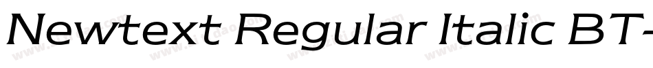 Newtext Regular Italic BT字体转换